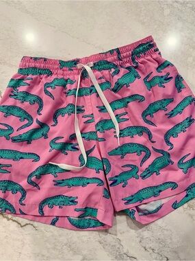 The Glades 5.5" Classic Swim Trunk in Pink
CHUBBIES